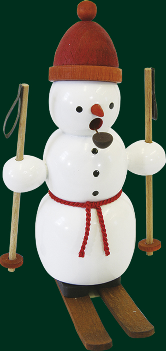 RM Schneemann