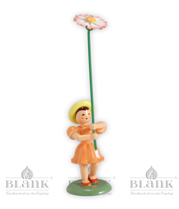 Gänseblümchen