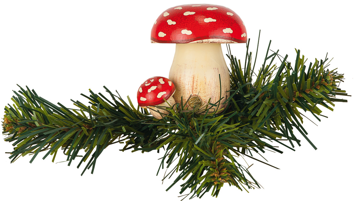 Baumclipser - Fliegenpilz