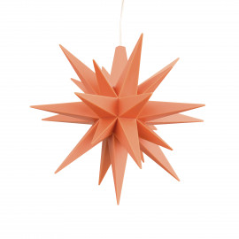 2026 Sonderedition Miniaturstern - apricot 