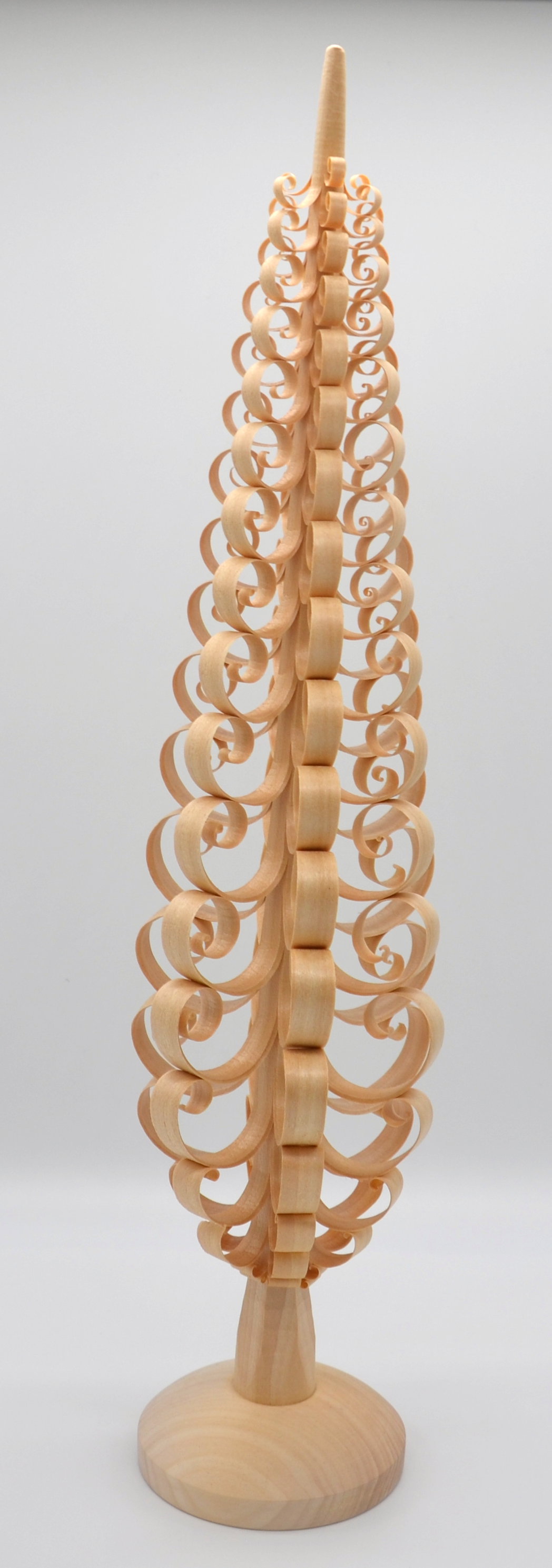 Spanbaum 50 cm