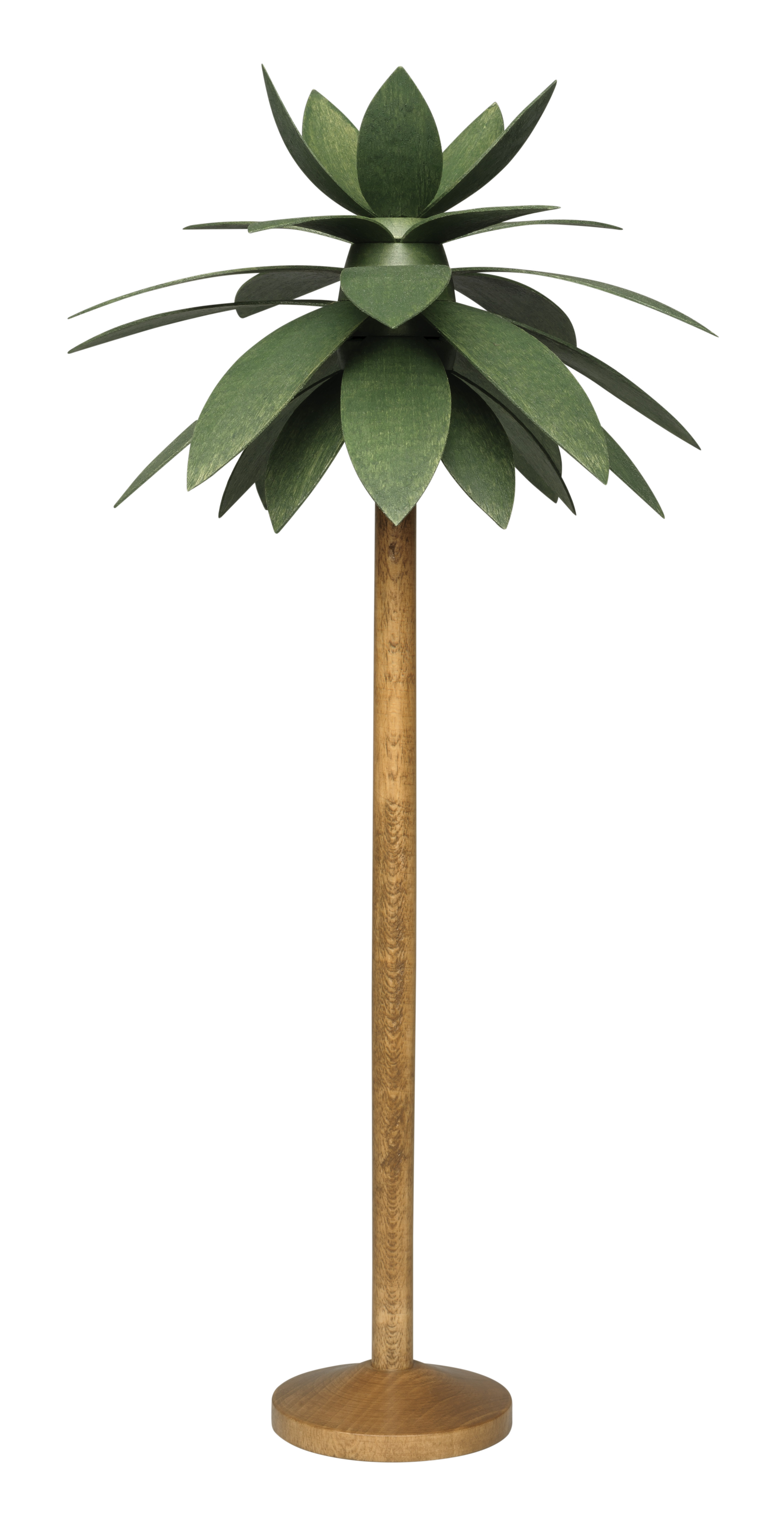 Palme, groß