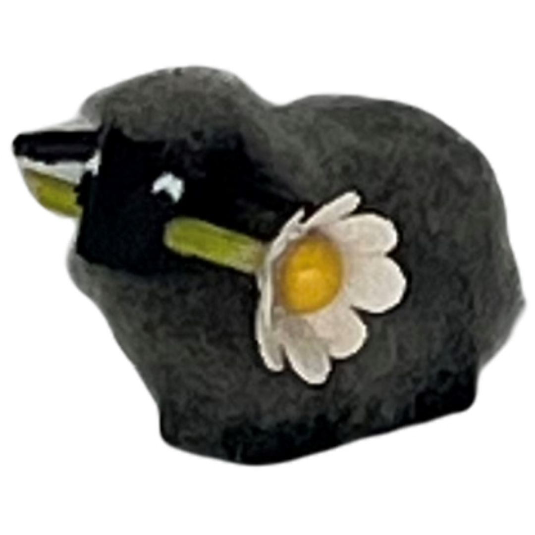 Fanny, das schielende Schaf Fanny, das schielende Schaf