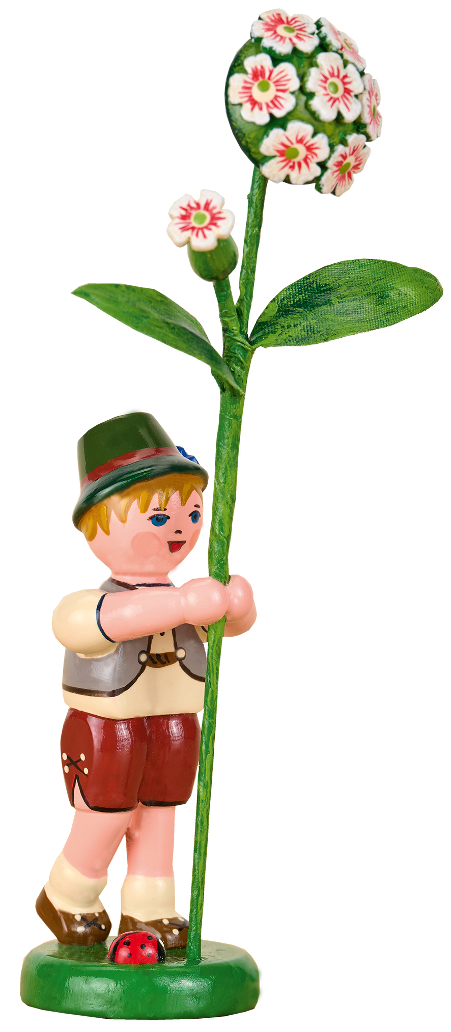 Blumenjunge mit Bartnelke